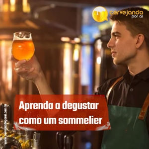 Aprenda a degustar cervejas artesanais como um sommelier!