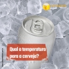 Você sabe qual a temperatura ideal para apreciar a cerveja?