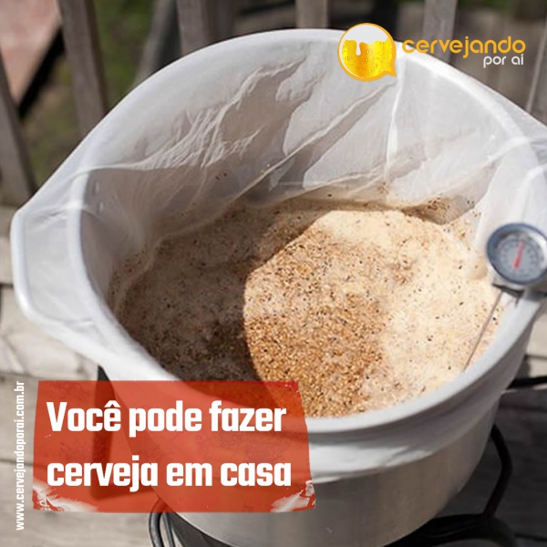 Você pode fazer cerveja em casa