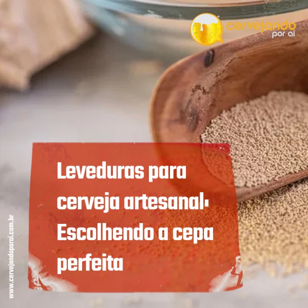 Leveduras para cerveja artesanal: Escolhendo a cepa perfeita