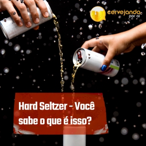 Hard Seltzer - Você sabe o que é isso?