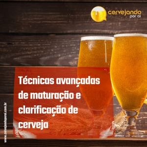 Técnicas avançadas de maturação e clarificação de cerveja