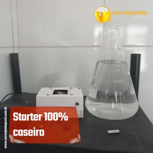 Starter 100% caseiro