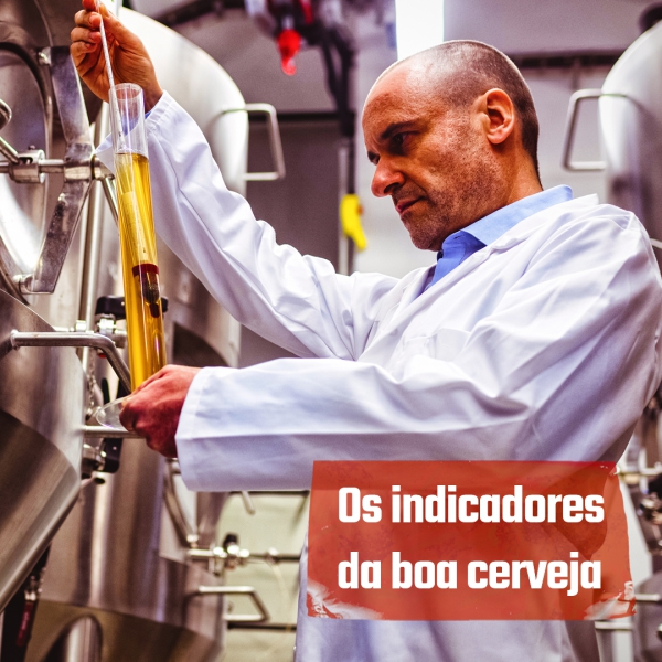 Você sabe quais são os indicadores de uma boa cerveja artesanal?