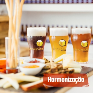 Conheça todos os tipos de harmonização de cervejas